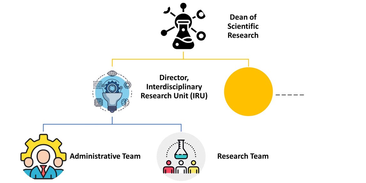 Organizational Structure of the Unit